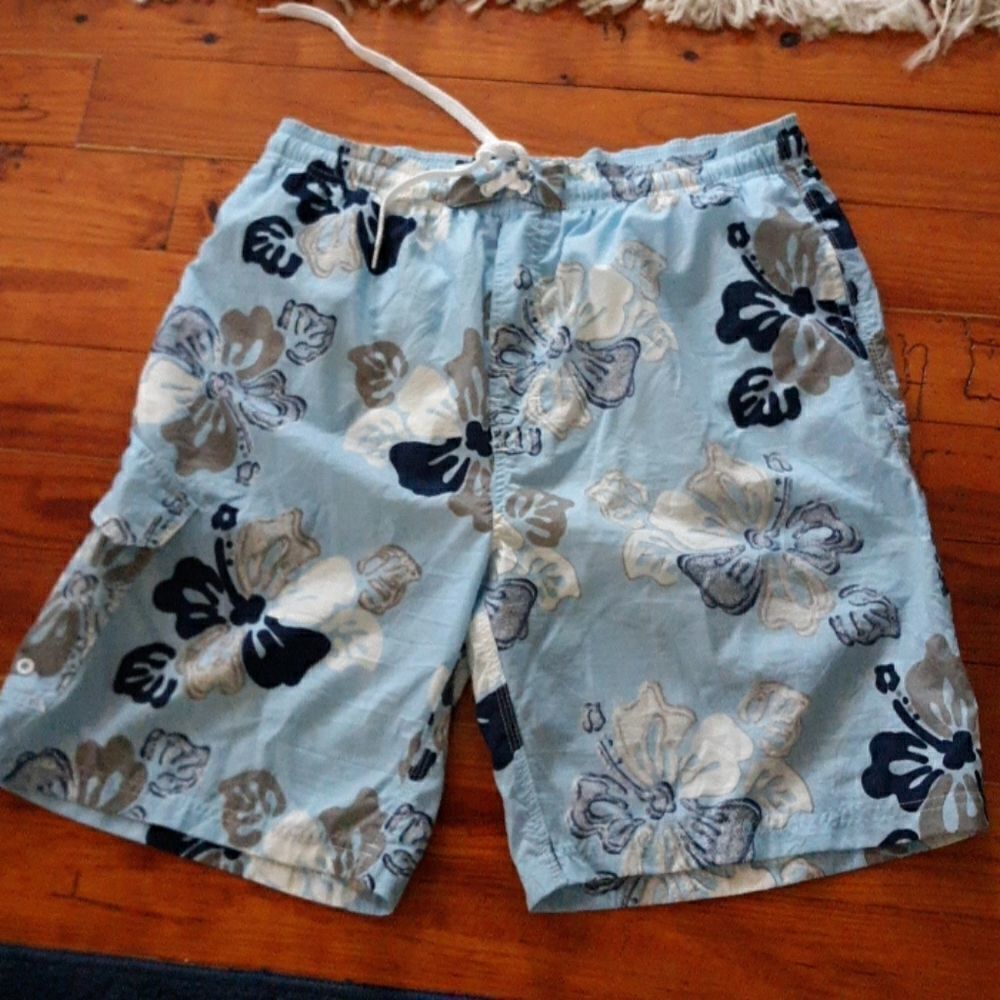 Pacific scene swim truck Large